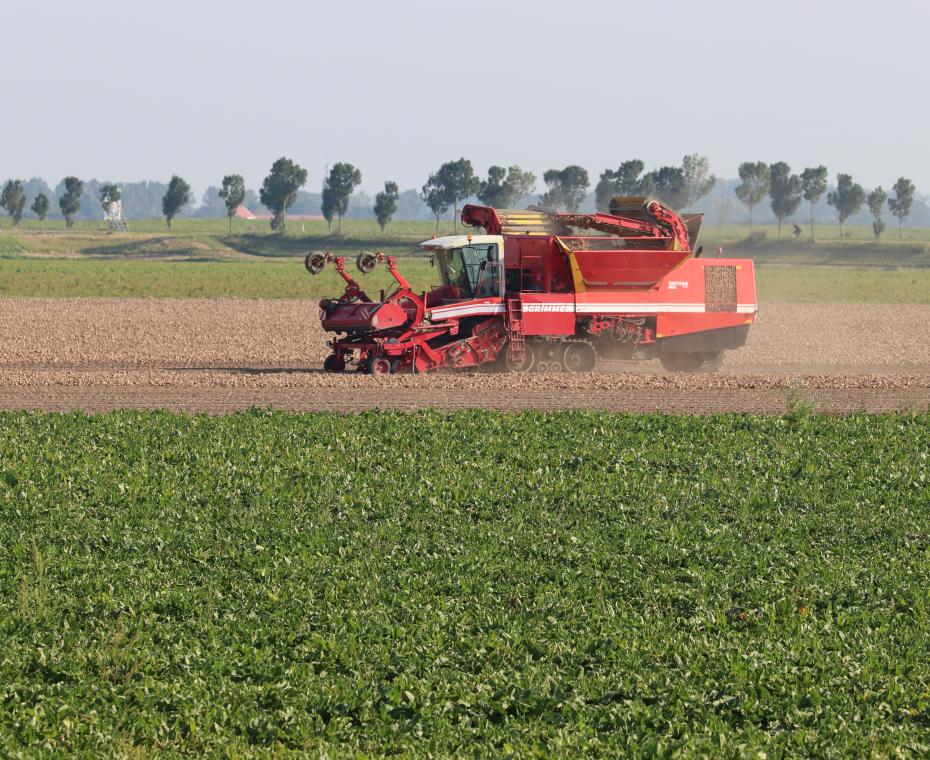 Rode tractor op het land