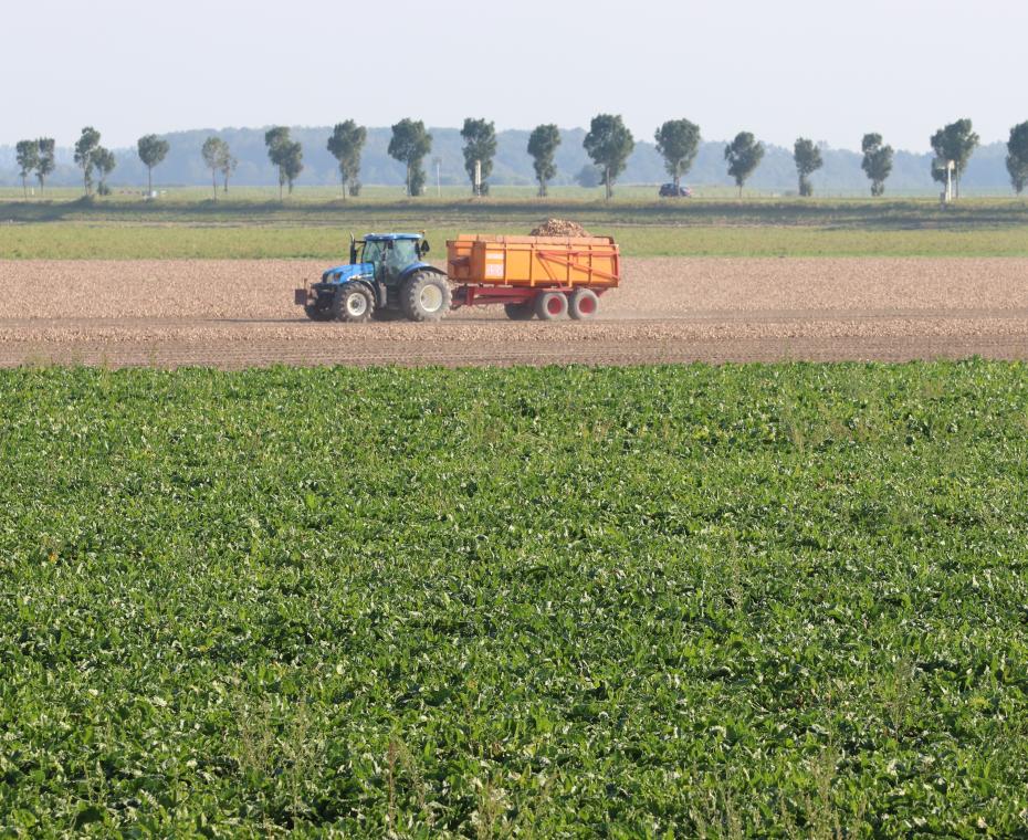 Tractor op het land